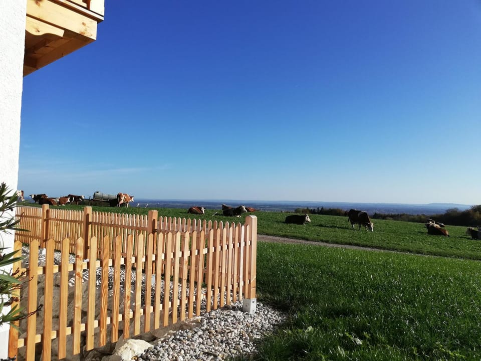 Sonnenhub Apartment in Bavaria