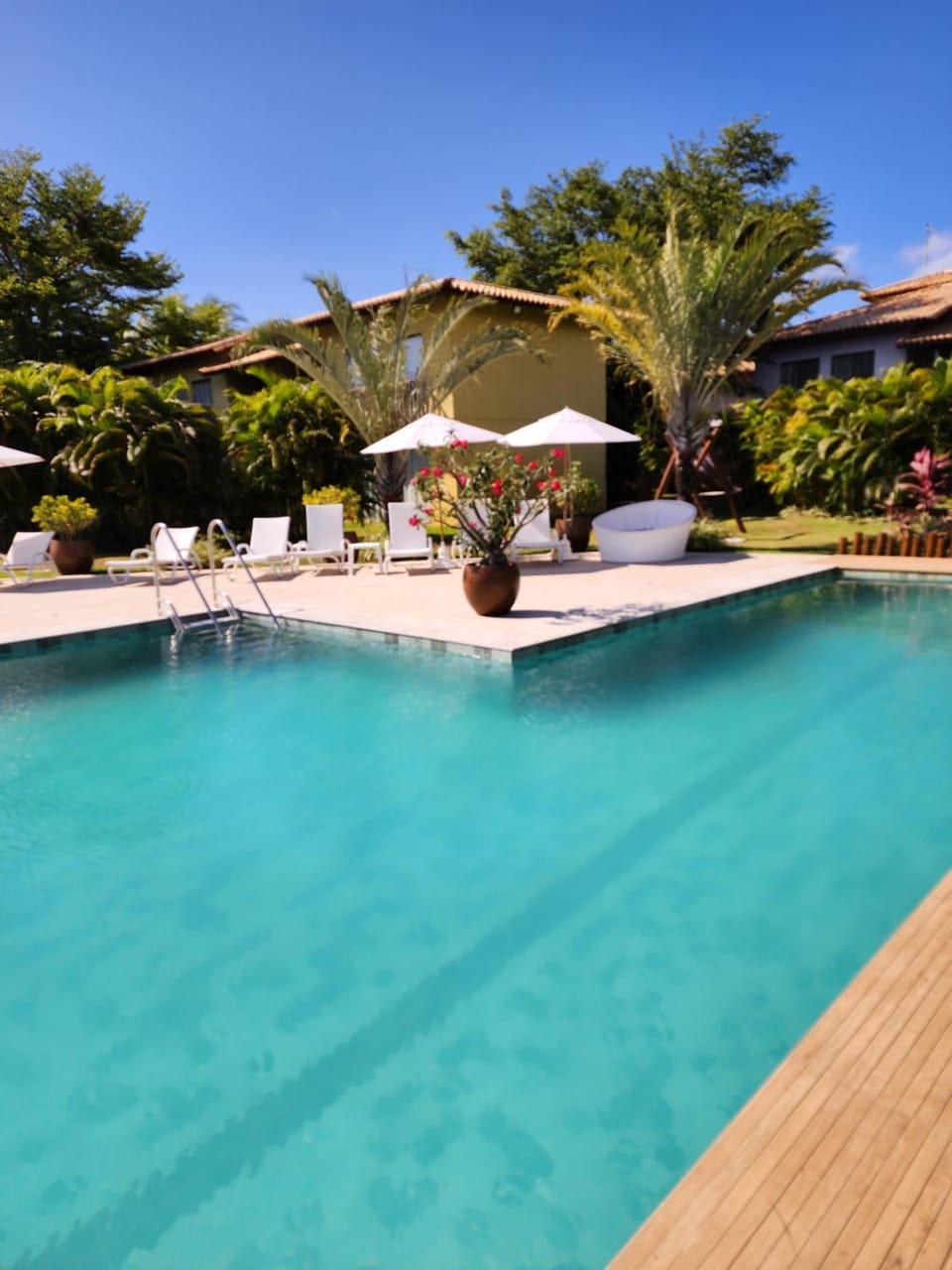 Swimming pool, Swimming pool
