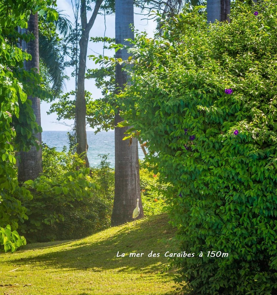 Garden, Garden view, Sea view