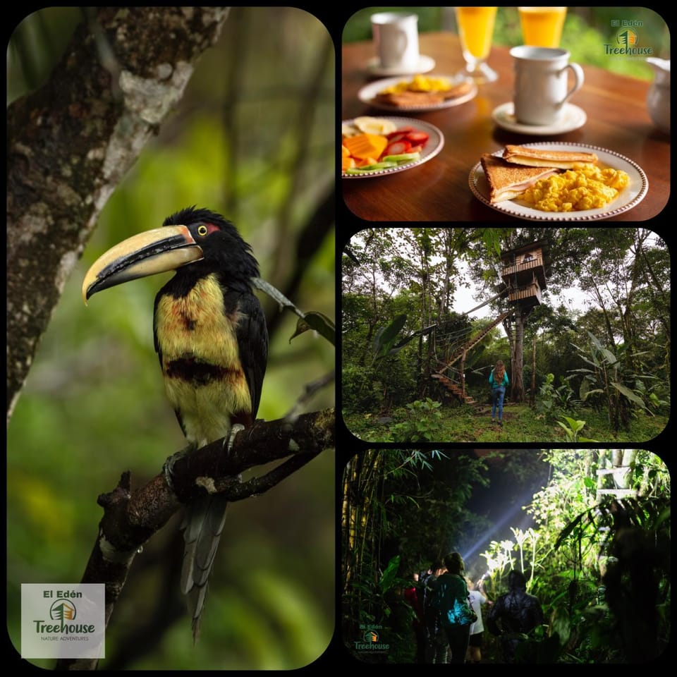 Animals, Food