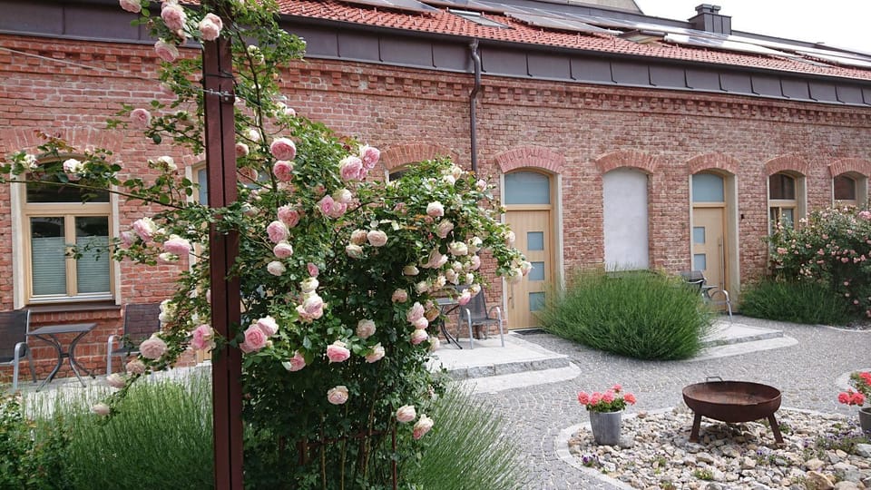 Property building, Patio, Garden