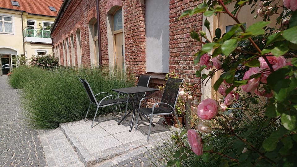 Property building, Patio, Spring, Day, Garden, Balcony/Terrace, Garden view, Garden view, Inner courtyard view