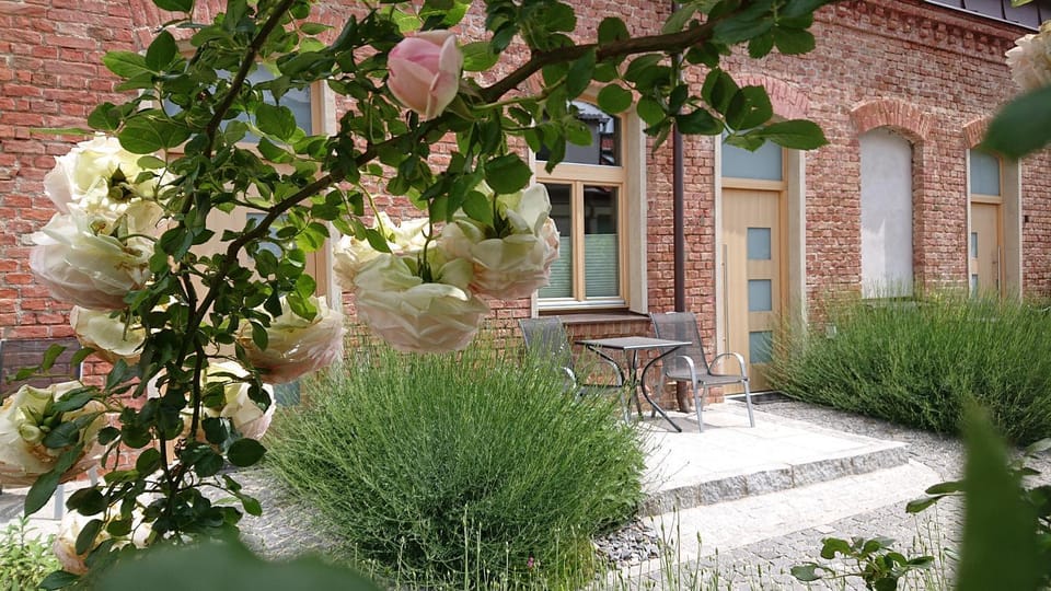 Patio, Spring, Day, Garden, Balcony/Terrace, On site, Garden view, Garden view, Inner courtyard view