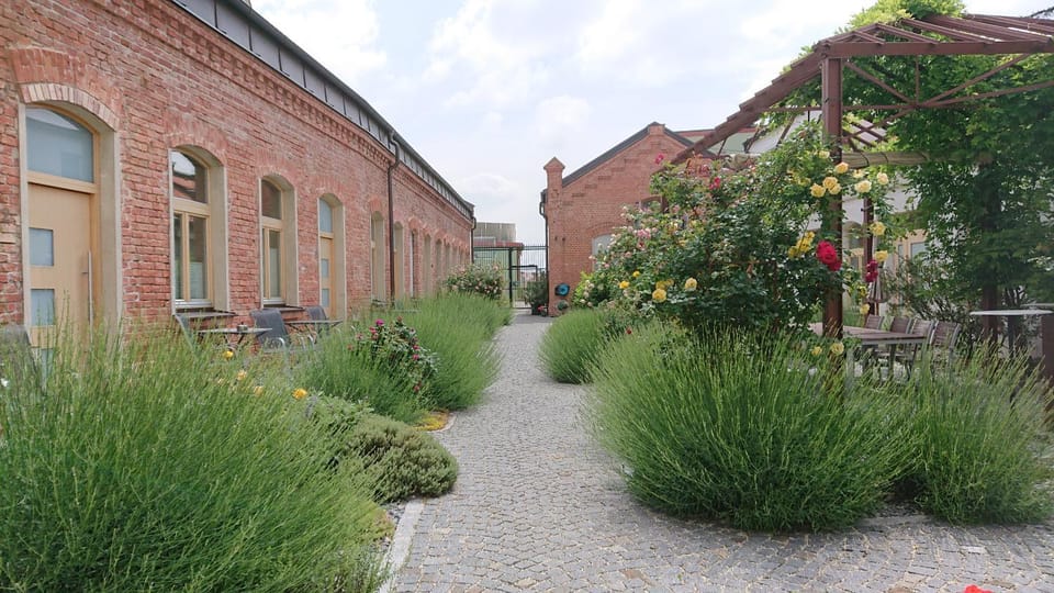 Property building, Garden