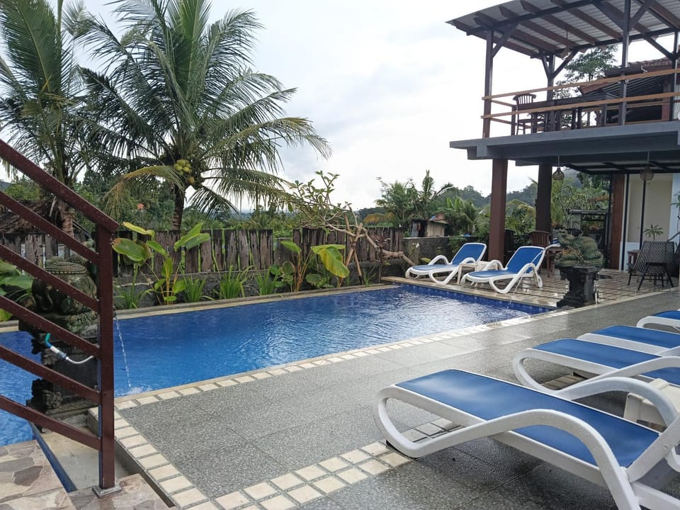 Day, Pool view, Swimming pool, sunbed