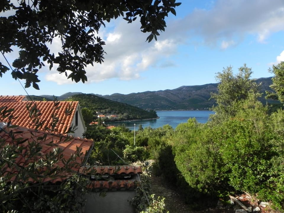 Patio, Garden, View (from property/room)