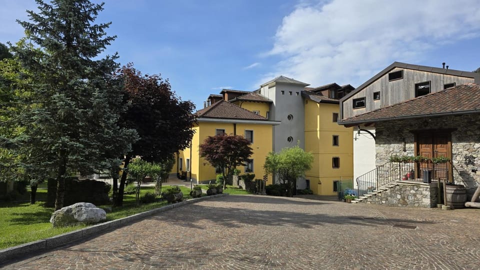 Summer, Garden, Garden view