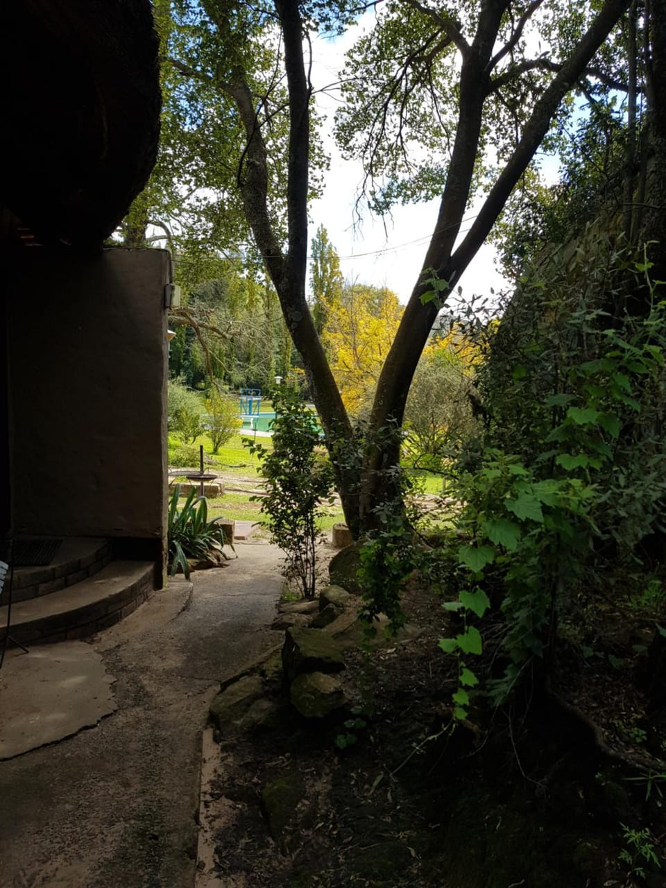 Garden view