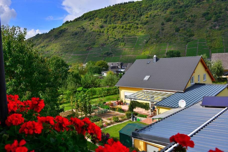 View (from property/room), City view, Garden view, Mountain view, Street view