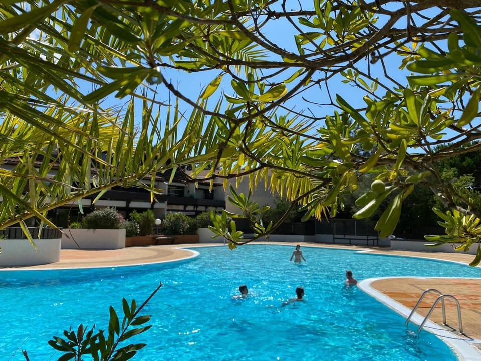 Pool view, Swimming pool, children