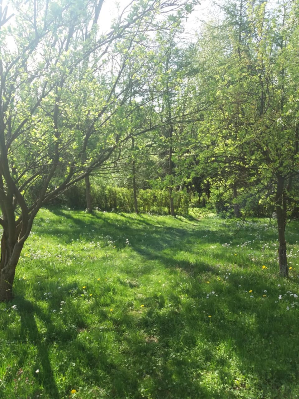 Property building, Garden, Animals, On site, Garden view, Entertainment, Family