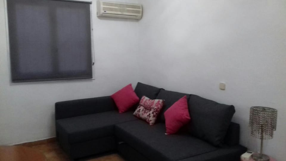 Living room, air conditioner