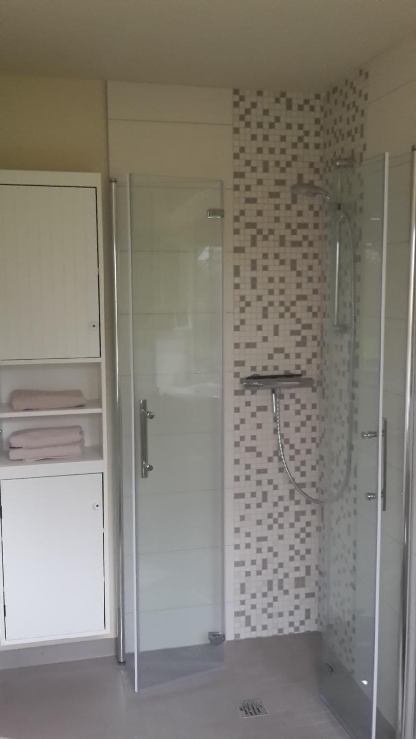 Shower, Bathroom, Photo of the whole room