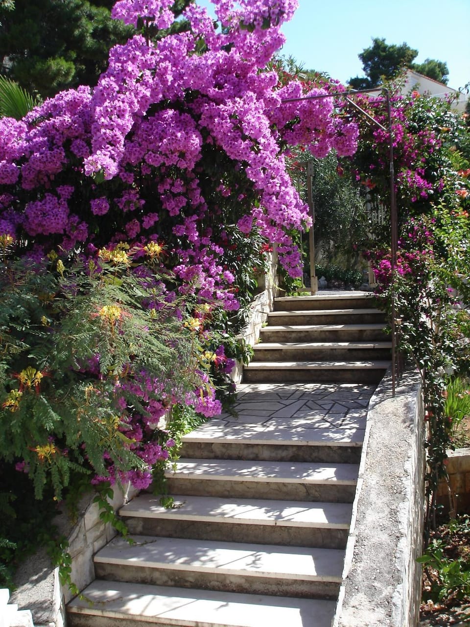 Ancila Apartment in Dubrovnik-Neretva County