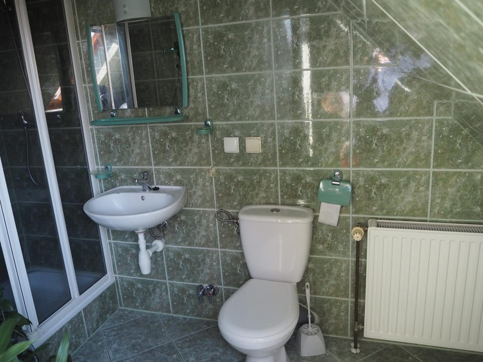 Shower, Toilet, Bathroom