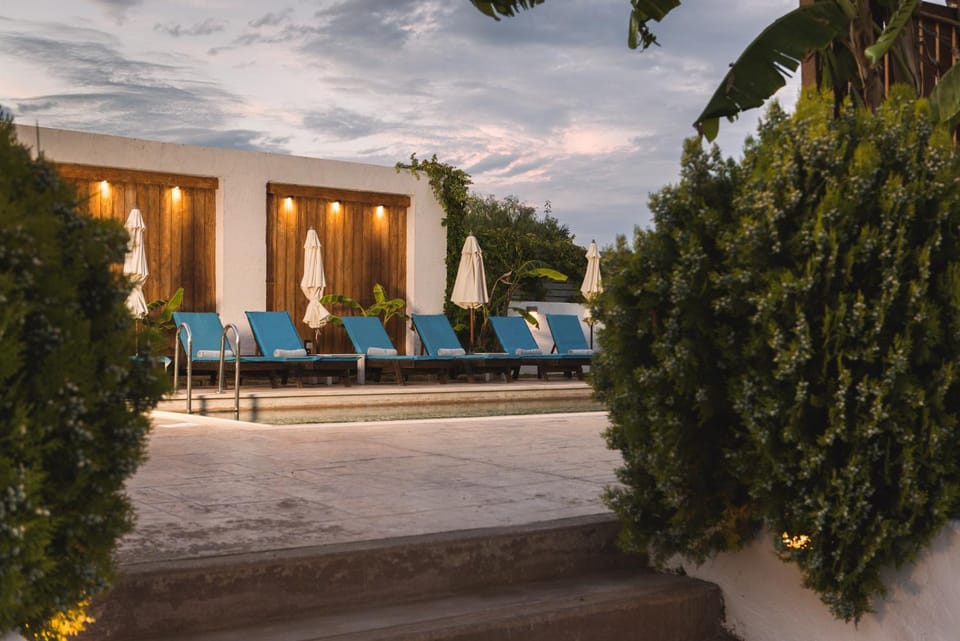 Day, Garden, Garden view, Pool view, Swimming pool, sunbed