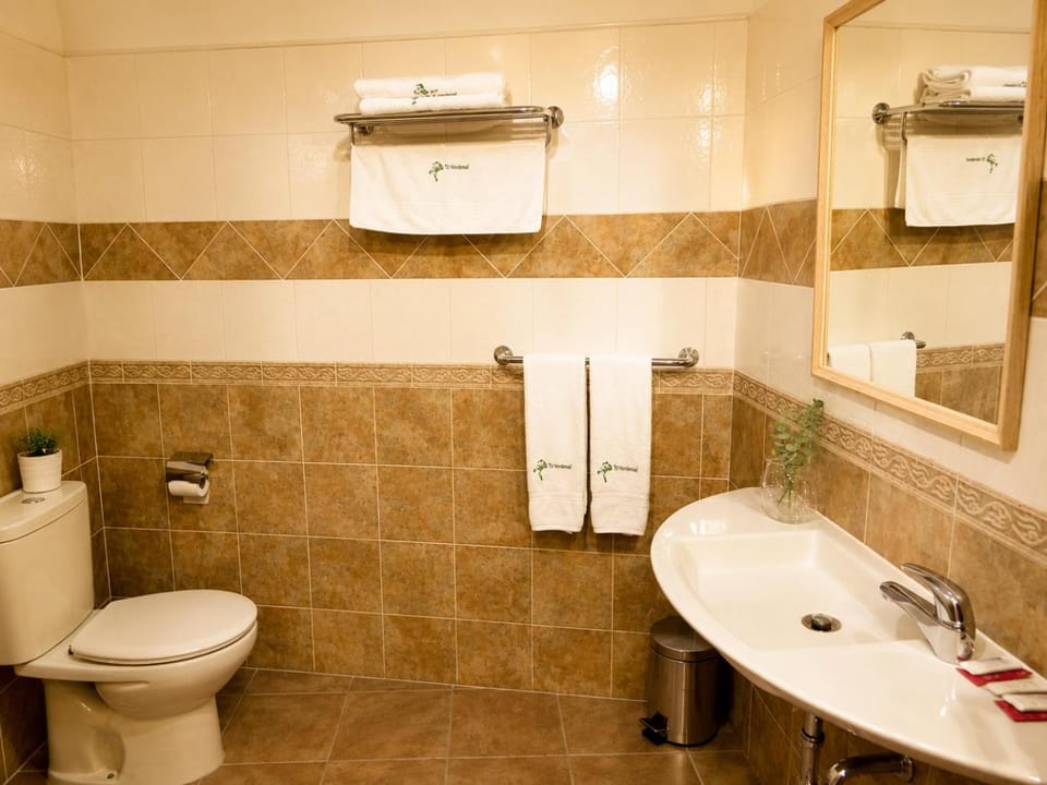 Shower, Toilet, Bathroom, bidet, towels