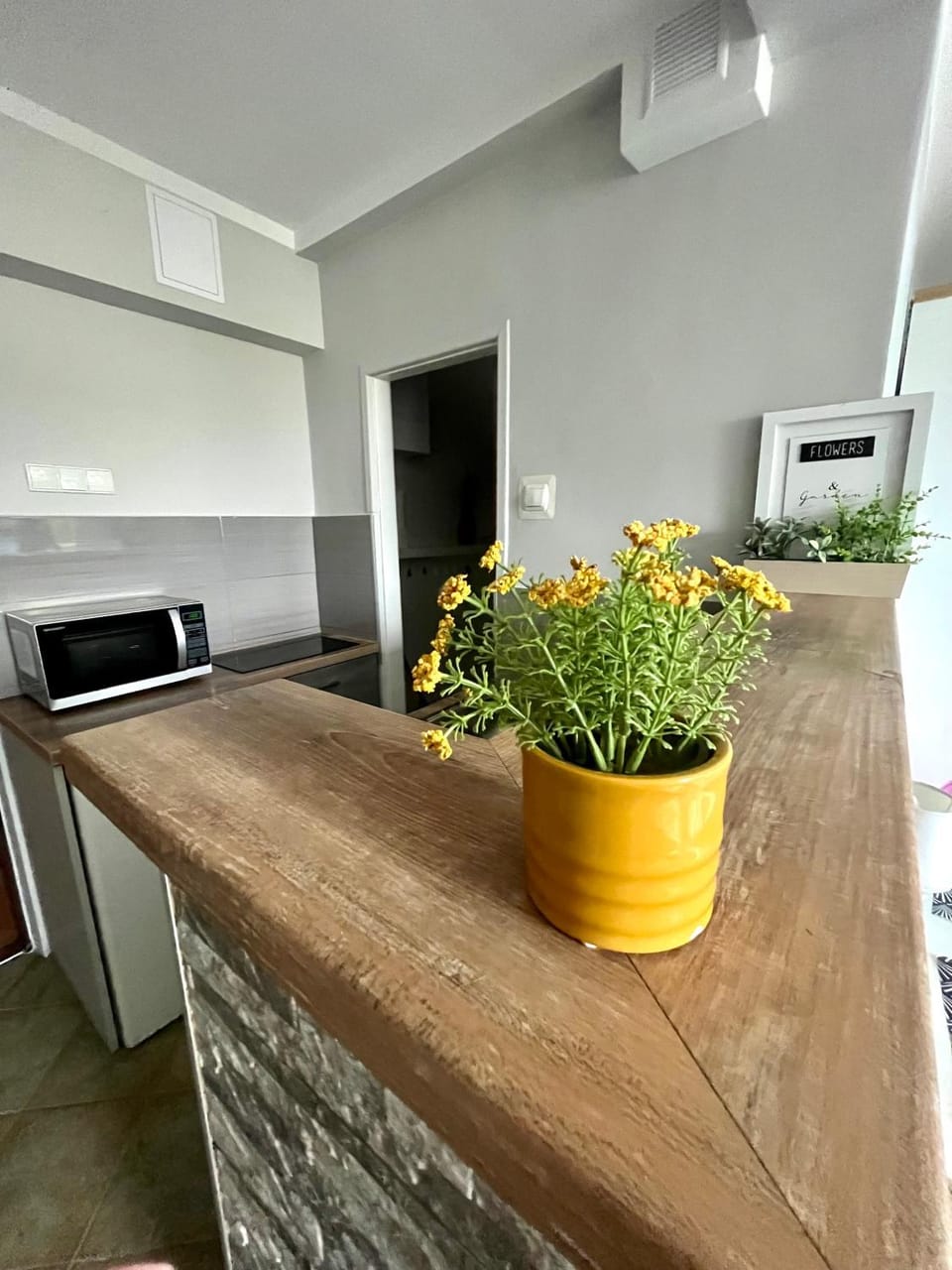 Kitchen or kitchenette