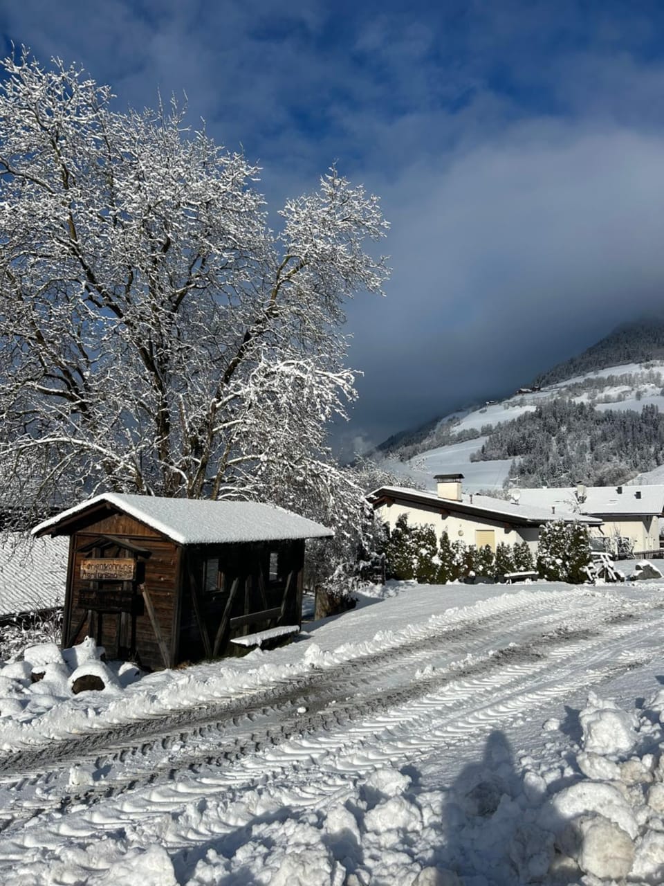 Winter
