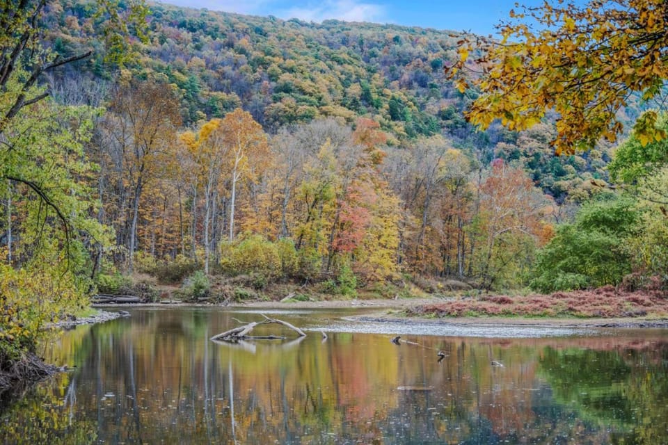 River view