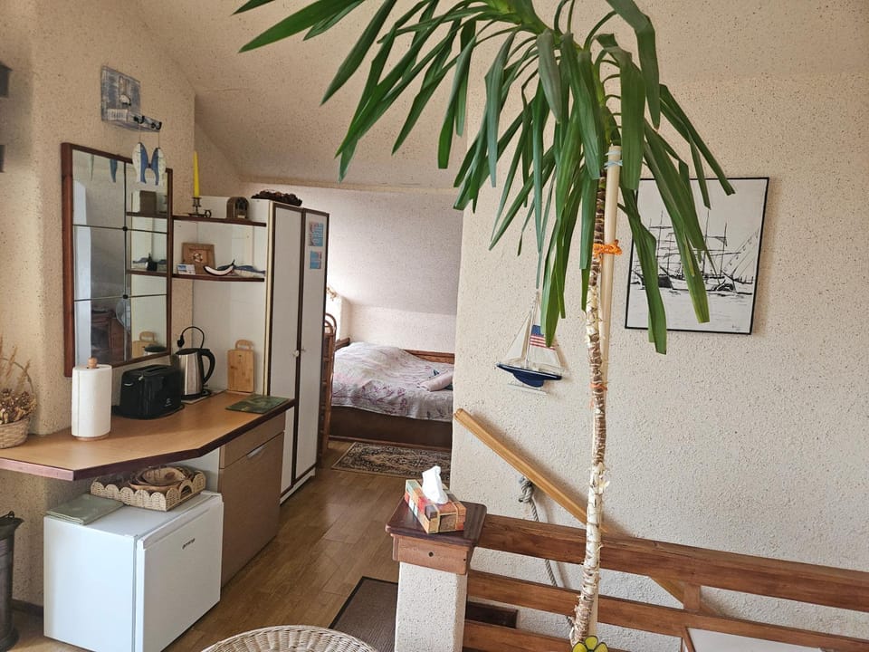 Kitchen or kitchenette, minibar