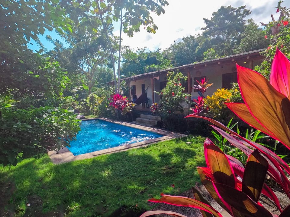 Day, Garden, Garden view, Pool view, Swimming pool