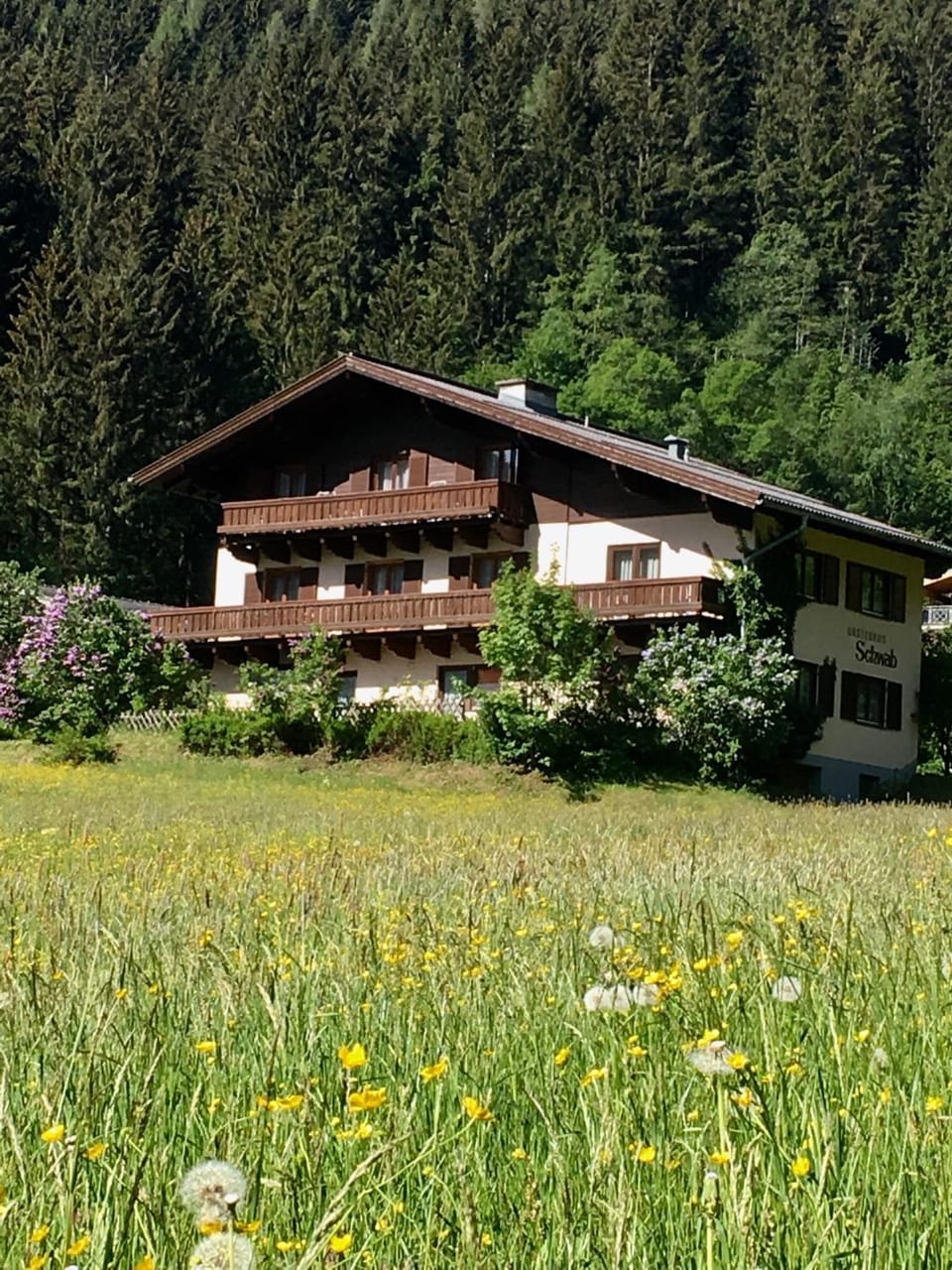 Property building, Neighbourhood, Garden