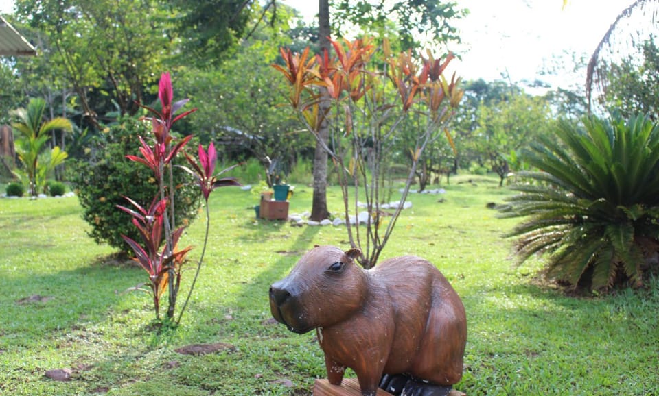 Hotel finca Carmentea Country House in Cundinamarca, Colombia