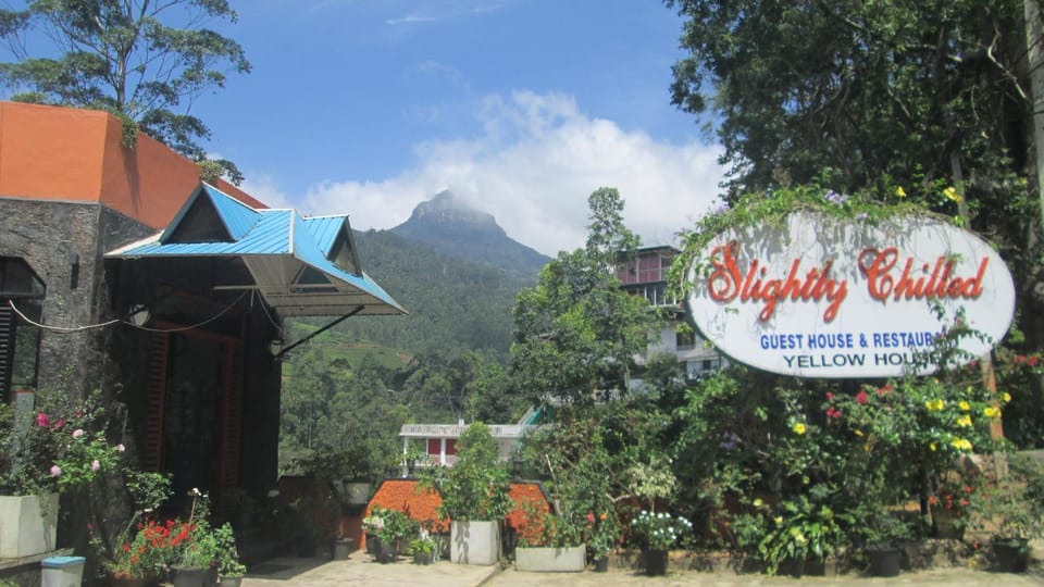 Mountain view