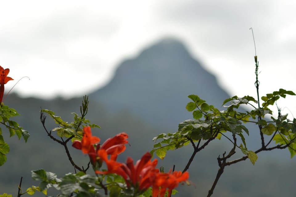 Natural landscape, Mountain view