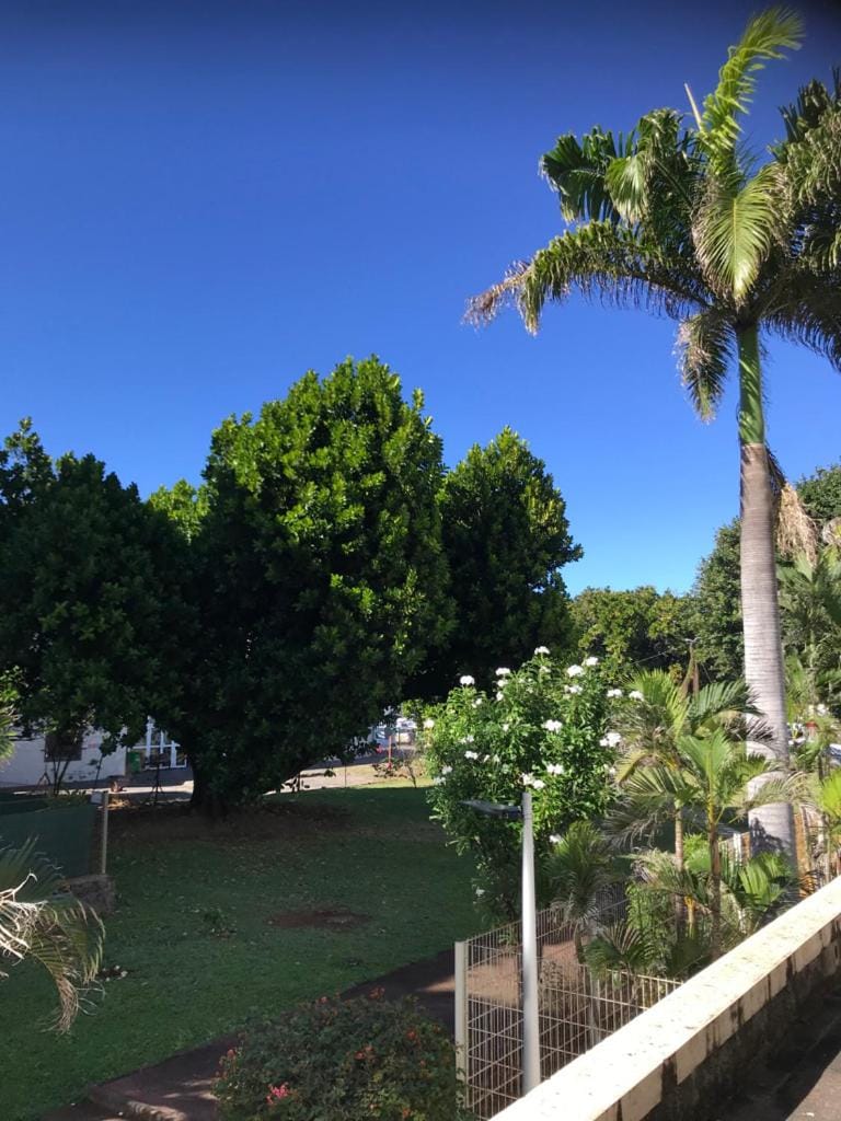 Day, Natural landscape, Garden, Garden view