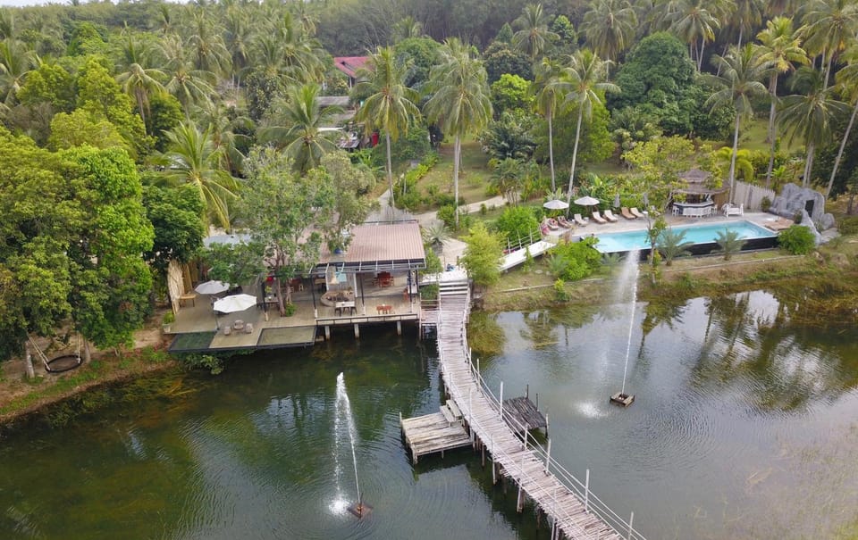 Day, Natural landscape, Bird's eye view, Lake view, Pool view, River view, Swimming pool