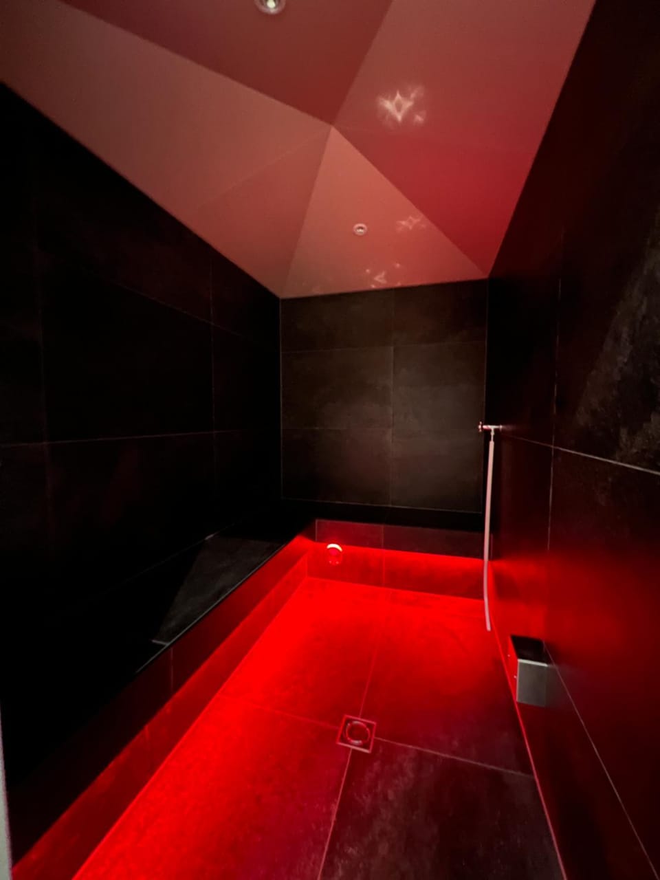 Steam room