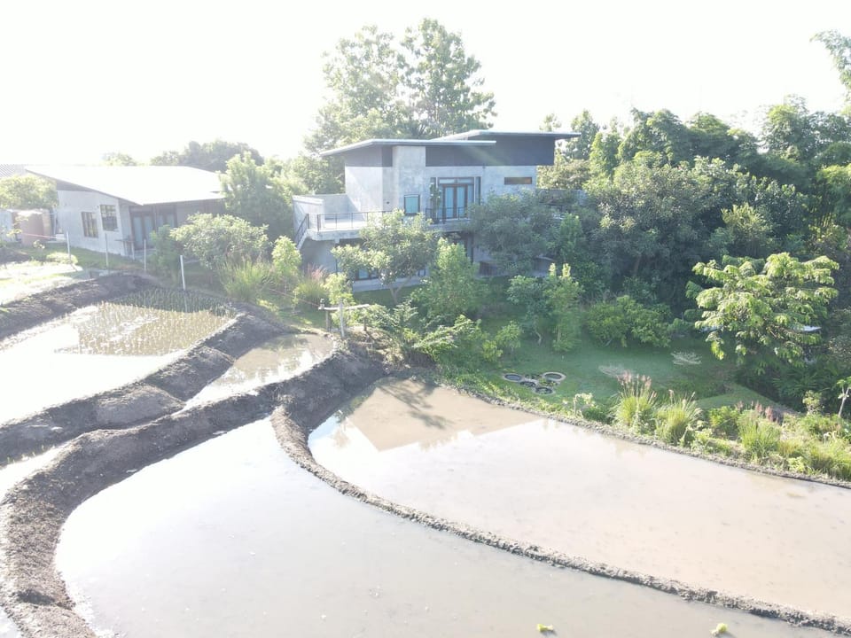 Day, Natural landscape