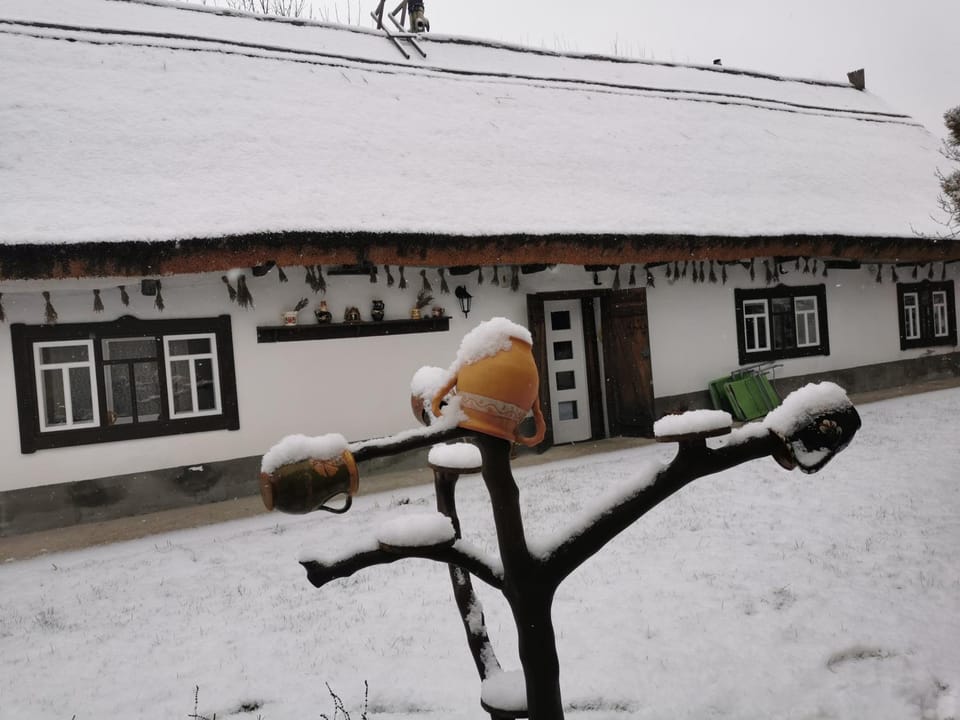 Forrás House in Slovakia