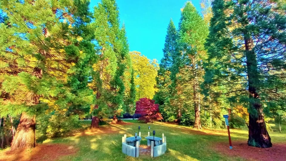 Garden, Garden view, Garden view, Landmark view