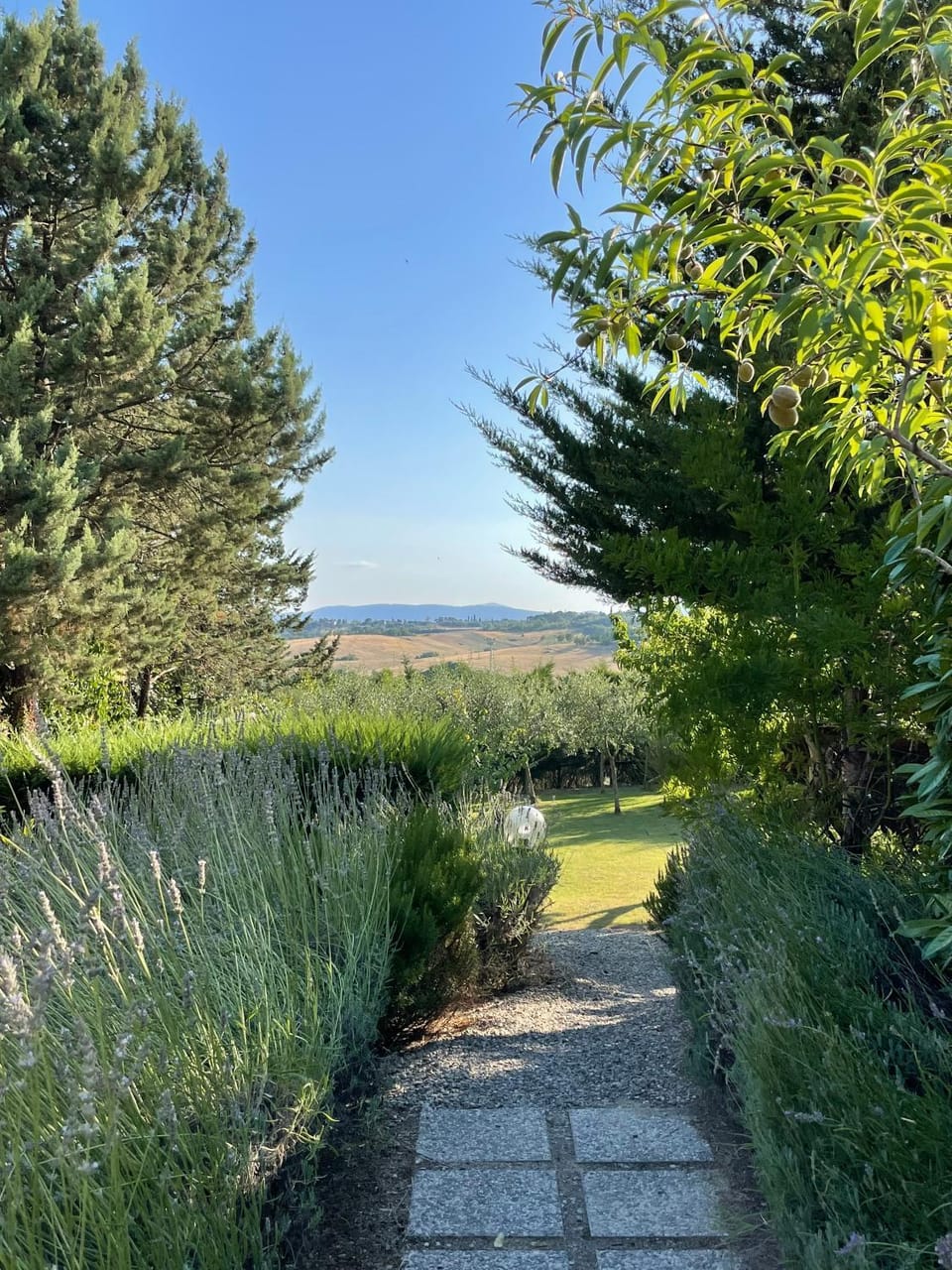 Garden, Garden view