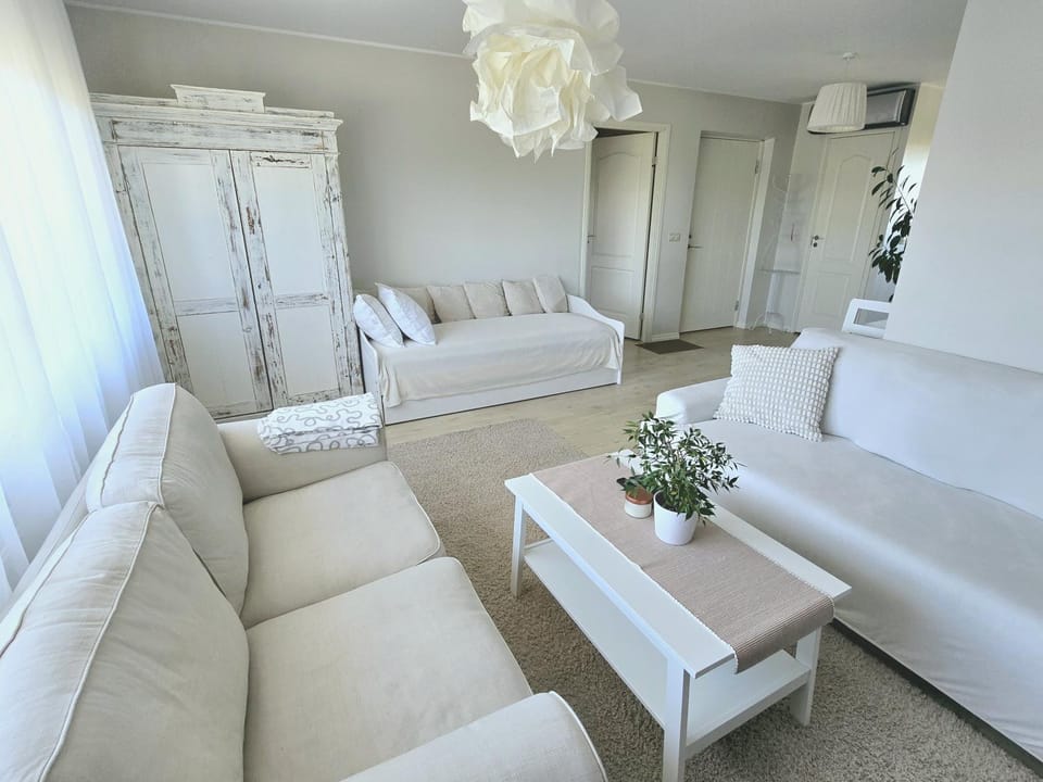 Living room, Photo of the whole room, Seating area
