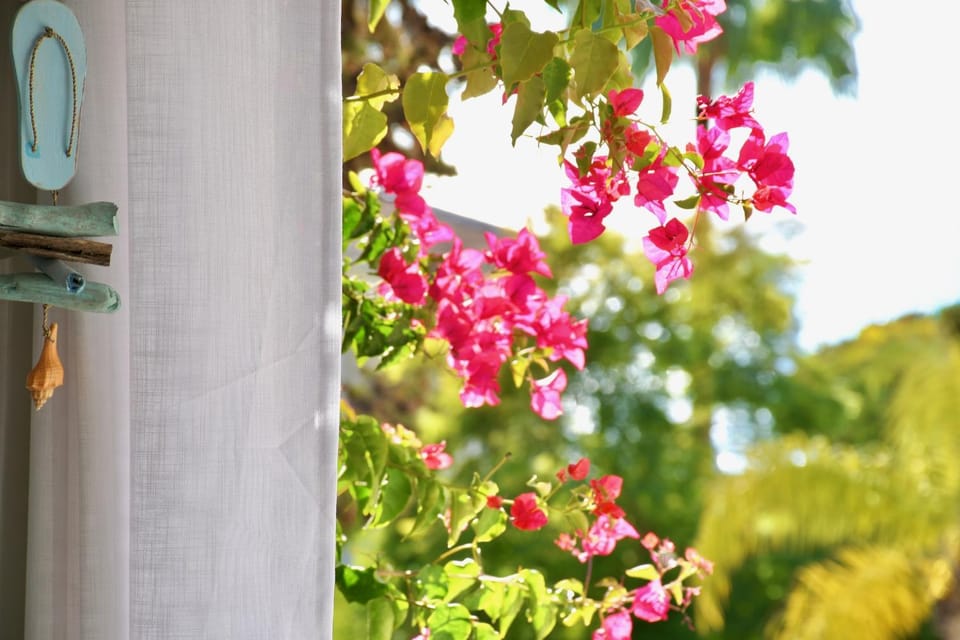 View (from property/room), Decorative detail, Garden view