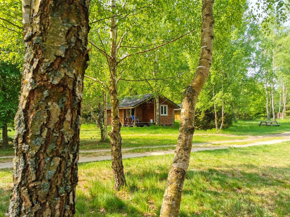 Property building, Day, Natural landscape, Garden, Garden view