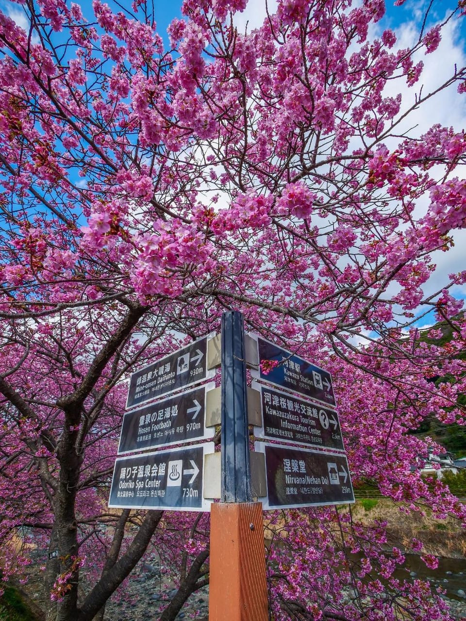Nearby landmark