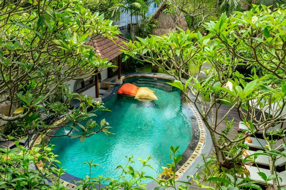 Pool view, Swimming pool