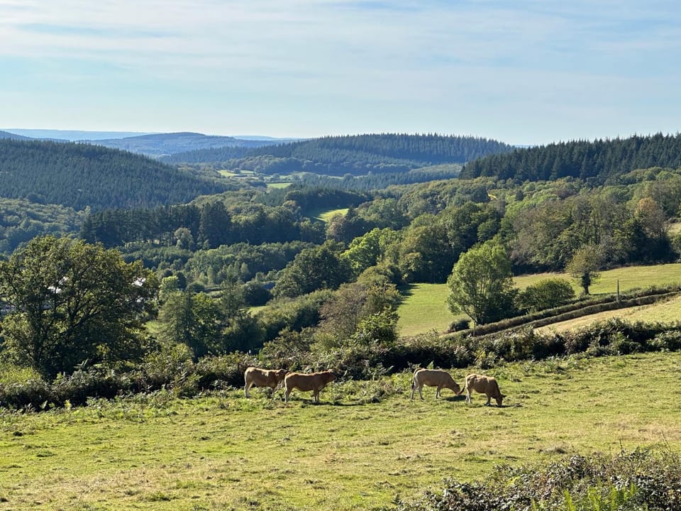 Natural landscape