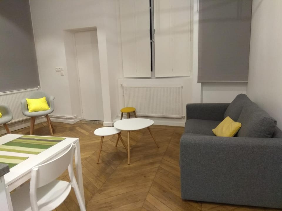 Mercière Jacobins Apartment in Lyon