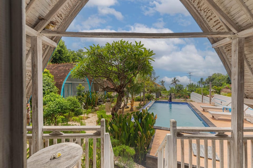Day, Garden, Garden view, Pool view, Swimming pool, sunbed