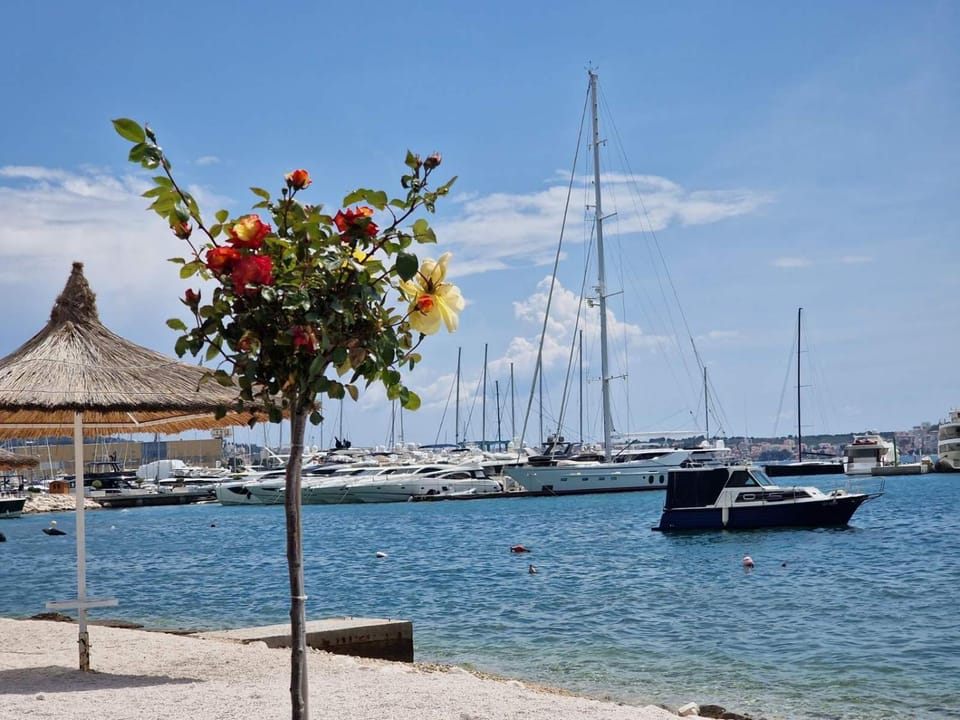 Natural landscape, Beach
