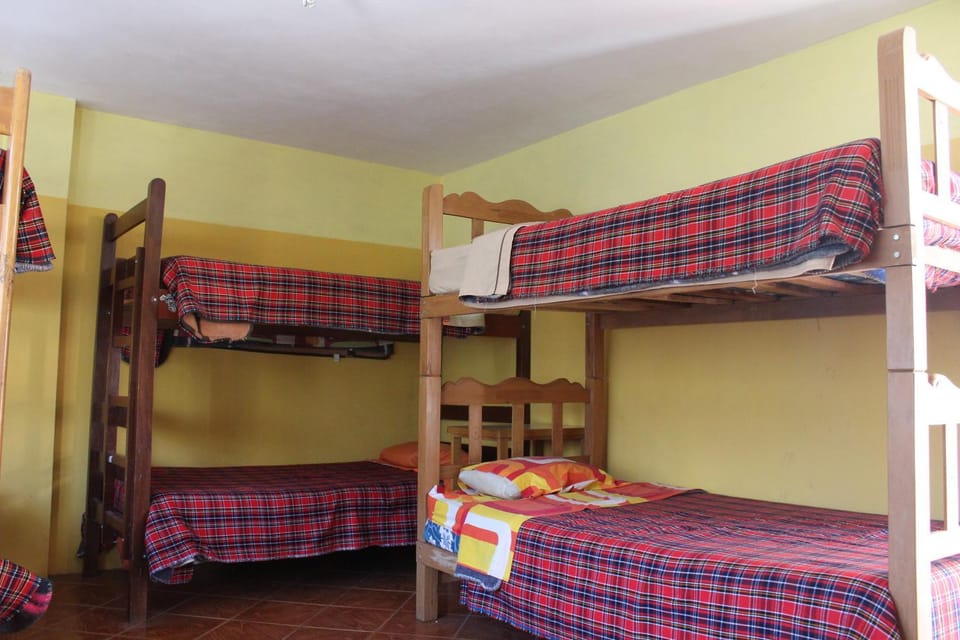bunk bed