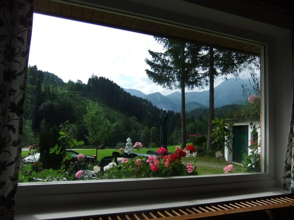 Garden view, Mountain view