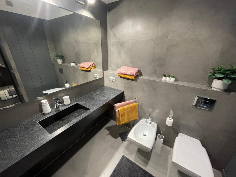 Shower, Toilet, Bathroom, hair dryier, towels