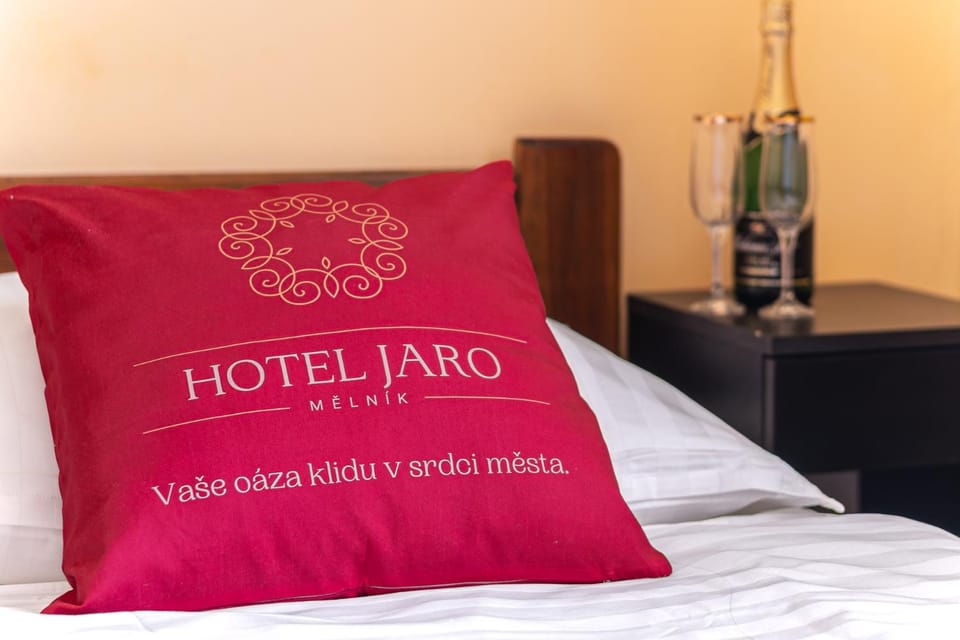 Hotel Jaro Hotel in Saxony